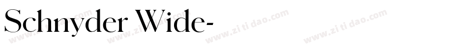 Schnyder Wide字体转换